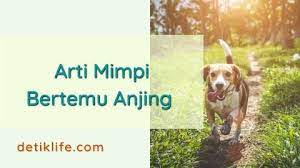 > mimpi melihat awan hitam melambangkan frustrasi, kegagalan, dan keputusasaan. Arti Mimpi Bertemu Anjing Galak Besar Hitam Terlengkap Detiklife