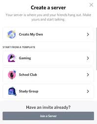 Create a professional look and feel for your discord server. How To Make A Good Discord Server 2021 Ultimate Guide