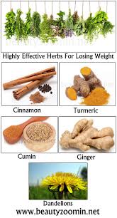 Pin On Weight Loss Natural Way Choose Natural Way To Loose Weight