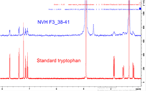 Image result for Neoboutonia melleri