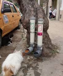 Street Feeders And Drinking Bowls For Cats In Damascus Cat Care Feral Cats Faith In Humanity