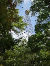 Lookout towers are an integral component of wildfire detection in alberta. 7 Fire Towers The Realm Ideas Fire Derelict Cupolas