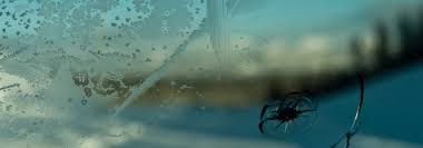 Auto insurances that cover windshield replacements do exist, but not every policy covers this type of repair. Claiming Insurance On Your Cracked Windshield Ruffcorn Insurance