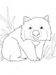 Check spelling or type a new query. Funny Wombat Coloring Page Free Printable Coloring Pages Animal Embroidery Designs Animal Embroidery Wombat