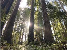 EP 32: CHATS with CHARLI – When is it OK to Recharge? – Lion Awakener