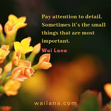 Famous attention to detail quotes. Wai Lana Yoga Fans A Twitter Quote Of The Day Important Message To Know Pay Attention To Detail Sometimes It S The Small Things That Are Most Important Wai Lana Https T Co Zfz24ritlb Wailana