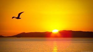 Image result for picture of sun rising