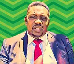 ZANU PF challenges Cross's Chinese claims