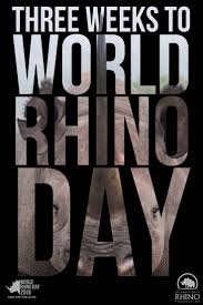 Three Weeks Left Are You Ready Found Out More About Black Rhinos At Rhinos Org Rhino Rhino Species Black