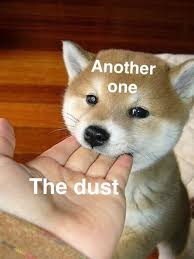 Pupper Chomp Cute Jokes Cute Funny Animals Animal Memes