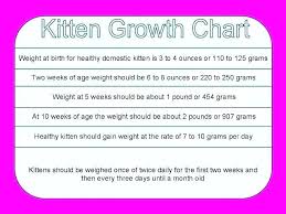 54 exhaustive newborn kitten growth chart