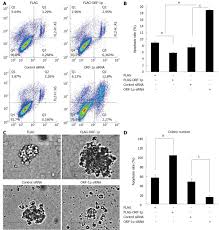 Christ army tv on eutelsat 7 west a. Long Interspersed Nuclear Element Orf 1 Protein Promotes Proliferation And Resistance To Chemotherapy In Hepatocellular Carcinoma