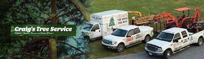 Craig S Tree Service Stump Removal Performs Tree Service In Greeneville Tn