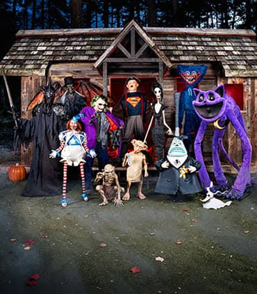 Halloween Costumes for Adults and Kids | HalloweenCostumes.com
