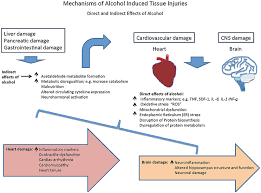 Learn how you can reduce inflammation and lower your risk of heart problems. Frontiers Alcohol Mediated Organ Damages Heart And Brain Pharmacology