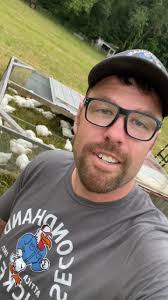 Second Hand Chickens