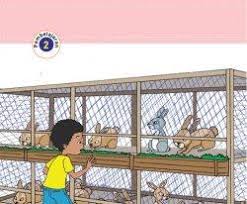 Kunci Jawaban Tema 1 Kelas 5 Sd Halaman 11 14 17 Buku Tematik Sd Organ Gerak Hewan Dan Manusia Tribun Pontianak