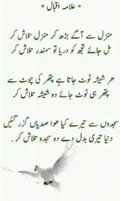 Malik Safeer Sajdi (maliksafeers)