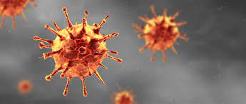 Covid 19 Coronavirus Cases Increase By 25 In Nhs Highland Area
