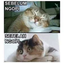 Gambar orang atau tubuh manusia. 26 Ide Meme Ngopi Jaman Now Yang Bikin Pengen Ngopi Gambar Lucu Lucu Meme Lucu