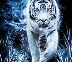 31 Gambar Keren 3d Hewan Pin Oleh Wahyuarjaku Di Pangeran Harimau Putih Harimau Wallpapers Singa 3d Wallpaper Cave 81 Menggambar Harimau Hewan Gambar Keren