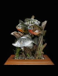 Fish Replica Fish Mount Gallery Advanced Taxidermy Taxidermy Fish Decor Taxidermy Decor Fish Mounts