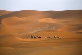 Cartoon camel walking in sahara desert. Pin On Abstract 3d Texture