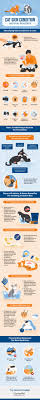 If the cat is exposed to cold weather. Cat Skin Conditions Natural Remedies Canna Pet