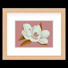 Image result for Magnolia White 1980 Amos and Sons