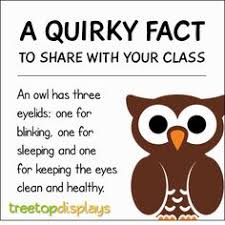 We post about health, celebs/people, places, animals, history information and much more. 110 Animal Facts Ideas Animal Facts Fun Facts For Kids Facts