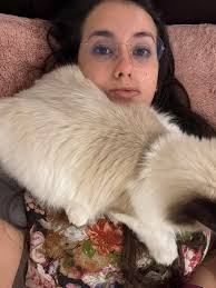 Daily dose of strangling because my neck is her favorite spot to rest when  I'm