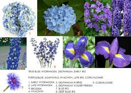 Maybe you would like to learn more about one of these? First In Our New Series On Color Blue Types Of Blue Flowers Flower Guide Blue Flower Names