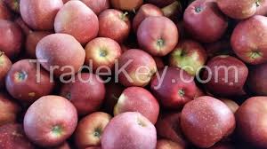 She is unnamed in the show, but she is named in merchandise. Apples Pommes Manzanas Holland Export Import Victoria Mondial Golden Delicious Red Jonaprince Jonagold Photo And Picture On Tradekey Com