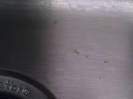 stainless steel sink is rusting after