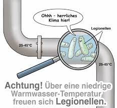 Häufige symptome sind bewusstseinsstörungen, benommenheit und verwirrtheit. Gefahr Aus Dem Duschkopf So Lassen Sich Legionellen Vermeiden