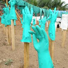 This is an unusual situation. The Official Who Tallied Lessons From Ebola On The Coronavirus Response