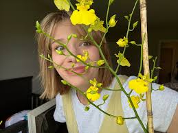 Favorite Houseplants and Care Tips