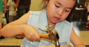 Science comes alive at Woodland carnival