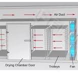 Vegetable Drying Machine - Baixin