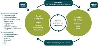 Socio Ecological Systems Problem Google Search Ecological Systems Resilience Ecology