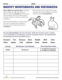 Vertebrates And Invertebrates Worksheet Education Com Vertebrates And Invertebrates Sixth Grade Science Science Printables