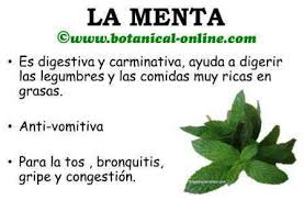 Resultado de imagen de MENTA