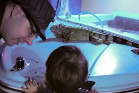 Family Time: Portland Aquarium