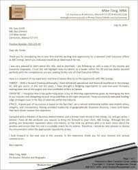Submitting a cover letter like this one is a bold move, and wouldn't work in most situations. Ceo Cover Letter Chief Executive Officer Sharon Graham