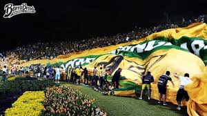 Comienza a apostar en la liga betplay dimayor: Fotos Imagenes Pagina 3 Fortaleza Leoparda Sur Atletico Bucaramanga
