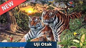 Butikan if you compassionate beast to play this game Tebak Ada Berapa Harimau Pada Foto Ini Berapa Harimau Bersembunyi Ujiotak Quiz 03 Youtube