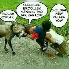 Isi konten yaitu tentang gambar lucu gokil boso jowo yang diambil dari beberapa konten. 56 Ide Stiker Lucu Lucu Stiker Lucu Gambar Lucu