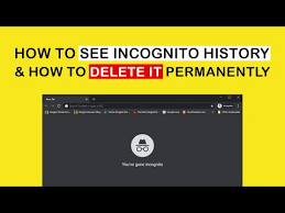 For viewing private browsing history online, you need to check the private browsing history via your windows or mac. How To See Incognito History How To Delete It Kingpin Private Browser