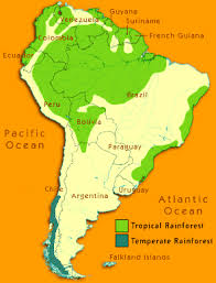 Tropical rainforests are found in a narrow belt either side of the equator. South America Rainforests Map Of South America S Rain Forests In The Amazon And In Chile Shows How Endangered These Gre Rainforest Rainforest Map South America