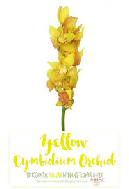 Yellow flowers for wedding come in large bunches with bright colors. Names And Types Of Yellow Wedding Flowers With Pics Flower Tips Yellow Wedding Flowers Wedding Flowers Season Wedding Flower Photos